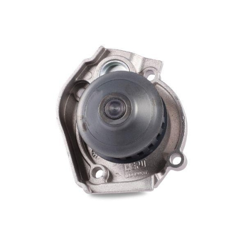 HEPU Wasserpumpe, Motork&uuml;hlung P094