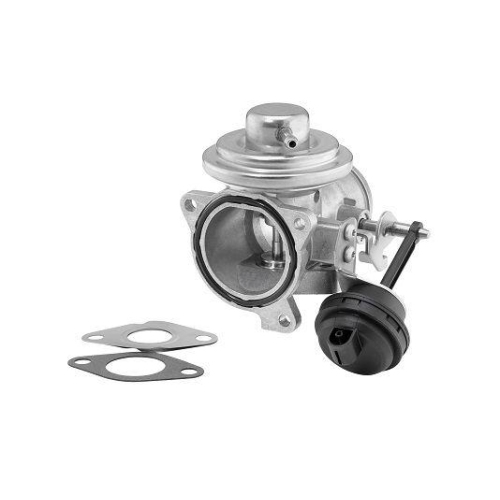 BorgWarner AGR-Ventil 7293D