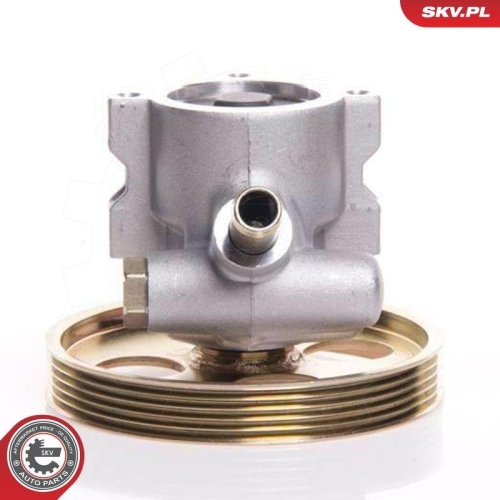 ESEN SKV Hydraulikpumpe, Lenkung 10SKV119
