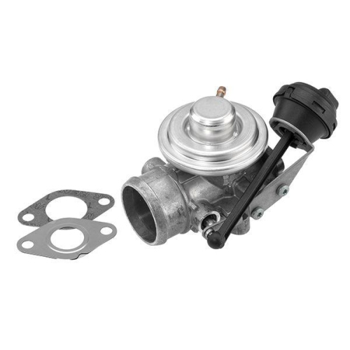 BorgWarner AGR-Ventil BW Original 7301D