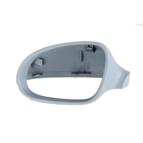 BLIC Gehäuse, Außenspiegel 6103-01-1311118P