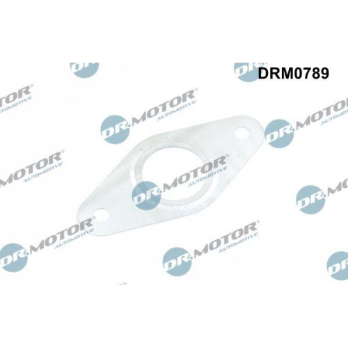 Dr.Motor Automotive Dichtung, Leitung AGR-Ventil DRM0789