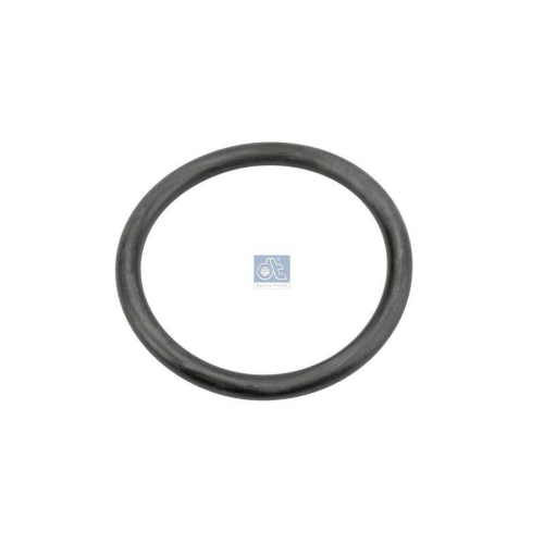 DT Spare Parts Dichtring, Wasserpumpe 6.30068