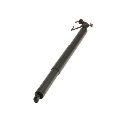 MAXGEAR Gasfeder, Einlegeboden (Koffer-/Laderaum) 12-2556