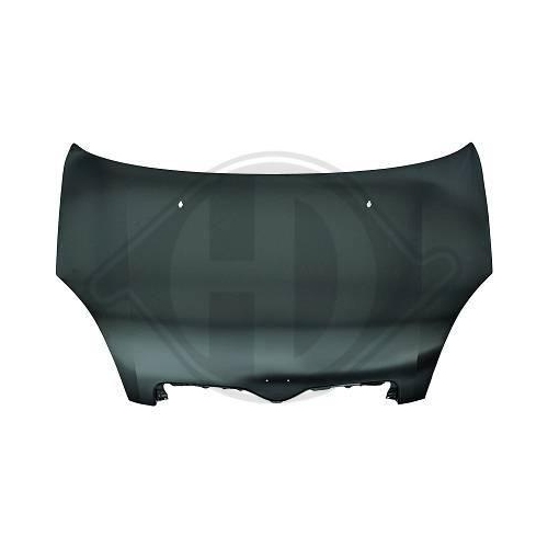 DIEDERICHS Motorhaube 6605000