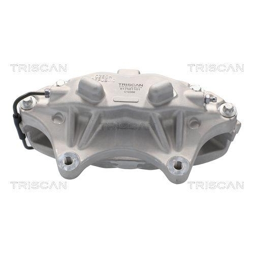 TRISCAN Bremssattel 8175 81101