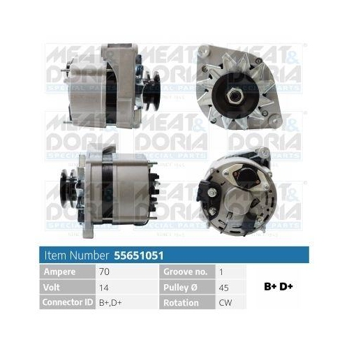 MEAT & DORIA Generator