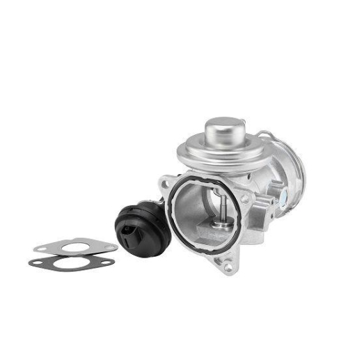 BorgWarner AGR-Ventil BW Original 7372D