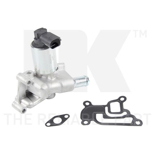 NK AGR-Ventil 4536004