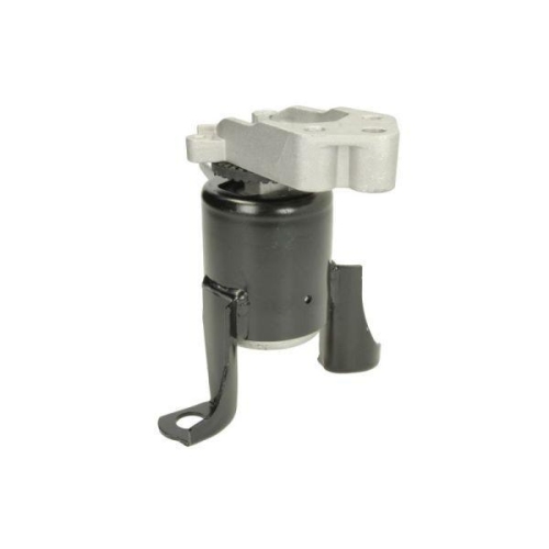 REINHOCH Lagerung, Motor RH11-4056