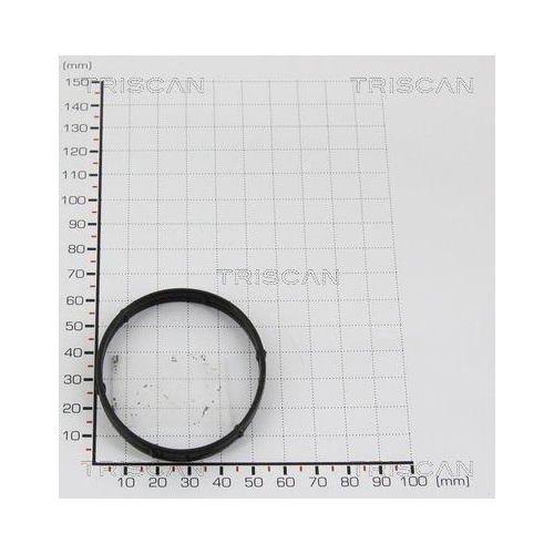 TRISCAN Dichtung 8813 9982