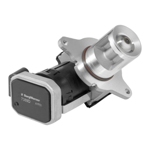BorgWarner AGR-Ventil 7389D
