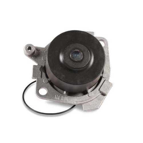 HEPU Wasserpumpe, Motork&uuml;hlung P1012