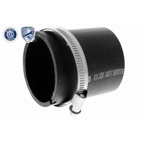 VAICO Ladeluftschlauch EXPERT KITS + V10-3780