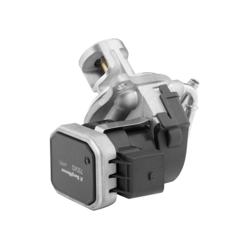 BorgWarner AGR-Ventil 7504D