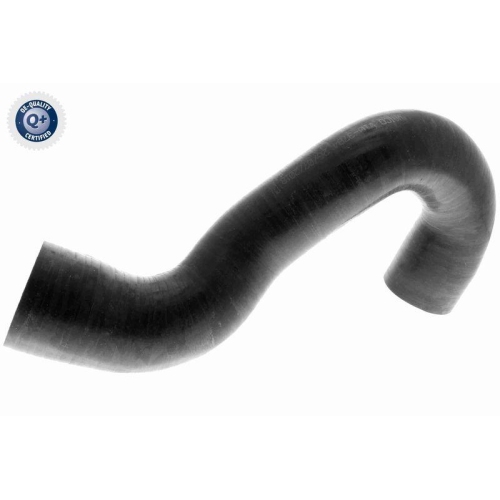 VAICO Ladeluftschlauch Q+, Erstausrüsterqualität V10-3784