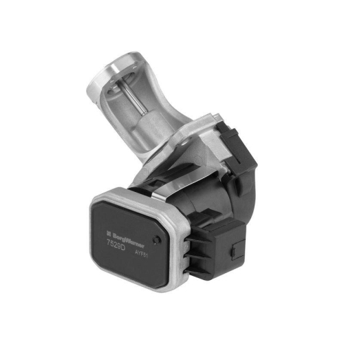 BorgWarner AGR-Ventil 7529D