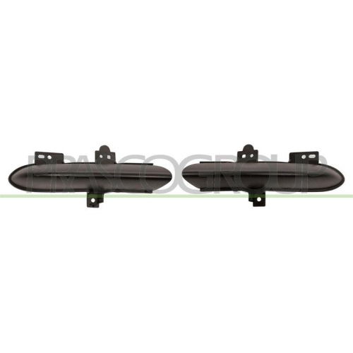 PRASCO Abdeckung, Scheinwerfer RN0381230