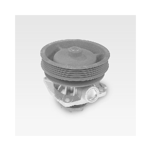 HEPU Wasserpumpe, Motork&uuml;hlung