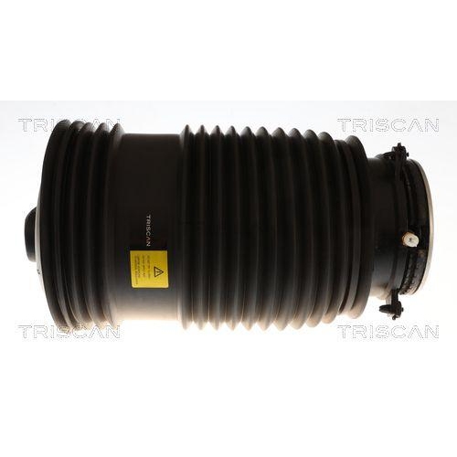 TRISCAN Luftfeder, Fahrwerk 8720 23209
