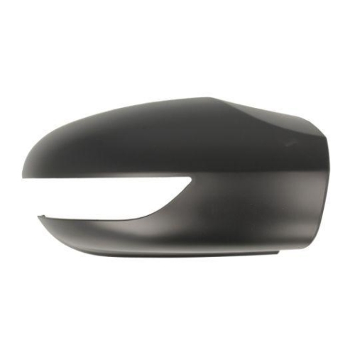 BLIC Gehäuse, Außenspiegel 6103-01-1312557P