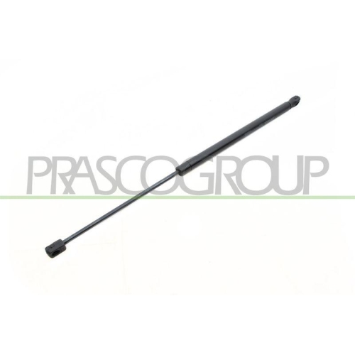 PRASCO Gasfeder, Koffer-/Laderaum FD3449055