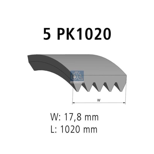 DT Spare Parts Keilrippenriemen 6.31501