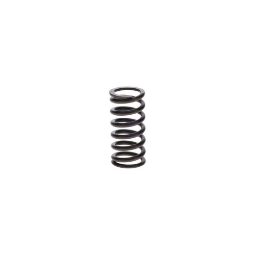 BOSCH Feder 9 411 034 650