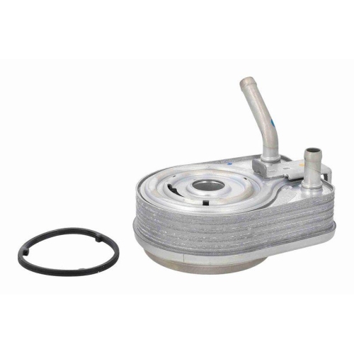 ACKOJA &Ouml;lk&uuml;hler, Motor&ouml;l Green Mobility Parts A52-60-0017