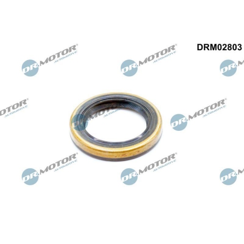 Dr.Motor Automotive Wellendichtring, Differential