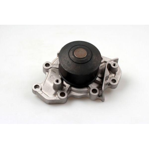 HEPU Wasserpumpe, Motork&uuml;hlung