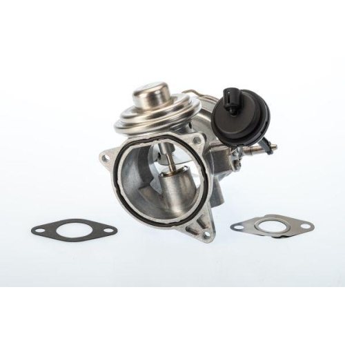 BorgWarner AGR-Ventil 7650D