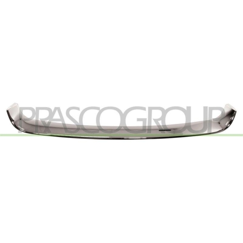 PRASCO Zier-/Schutzleiste, Sto&szlig;f&auml;nger RN0382206
