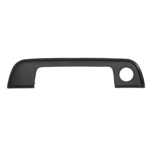 BLIC Türaußengriff 6010-05-004401P