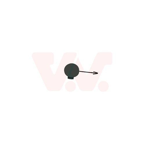 VAN WEZEL Klappe, Abschlepphaken 0301587