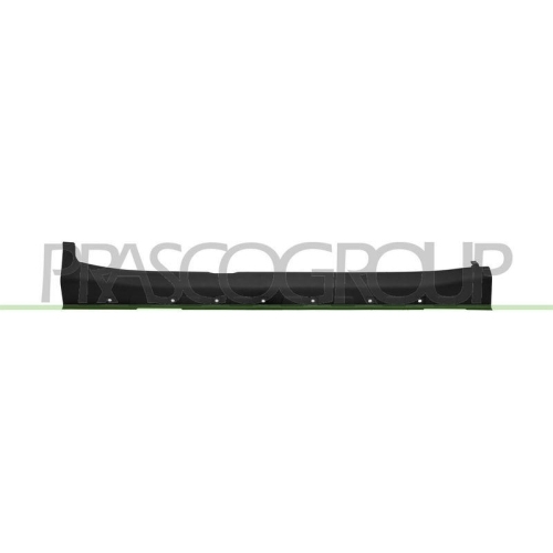 PRASCO Einstiegsleiste MG6021403
