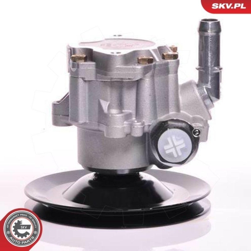 ESEN SKV Hydraulikpumpe, Lenkung 10SKV169