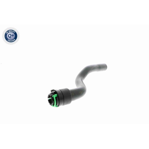 VAICO K&uuml;hlerschlauch Q+, Erstausr&uuml;sterqualit&auml;t V40-1353