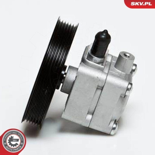 ESEN SKV Hydraulikpumpe, Lenkung 10SKV176