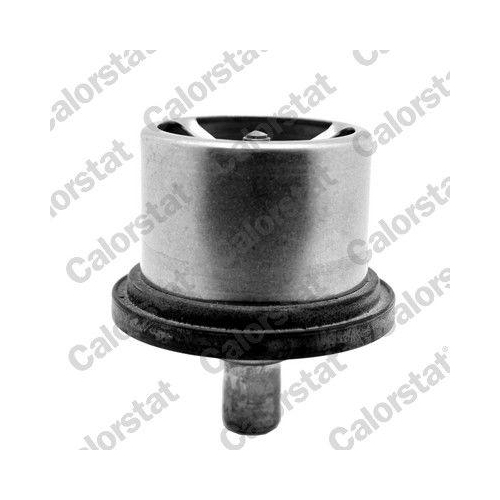 CALORSTAT by Vernet Thermostat, K&uuml;hlmittel THS19094.80