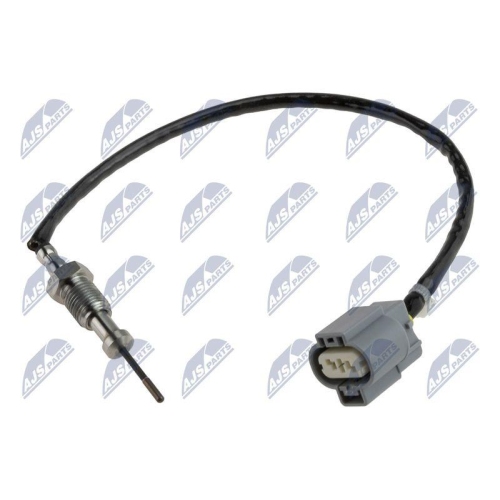 NTY Sensor, Abgastemperatur EGT-MS-000