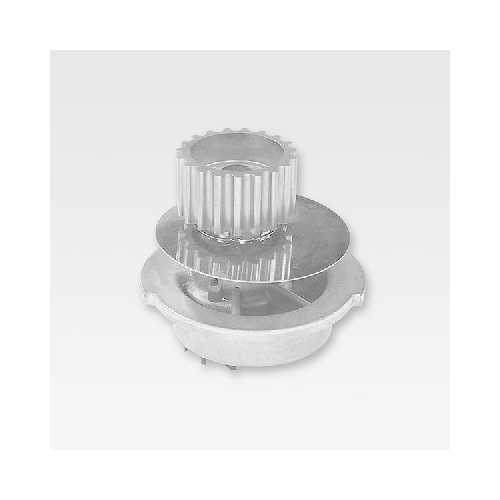 HEPU Wasserpumpe, Motork&uuml;hlung