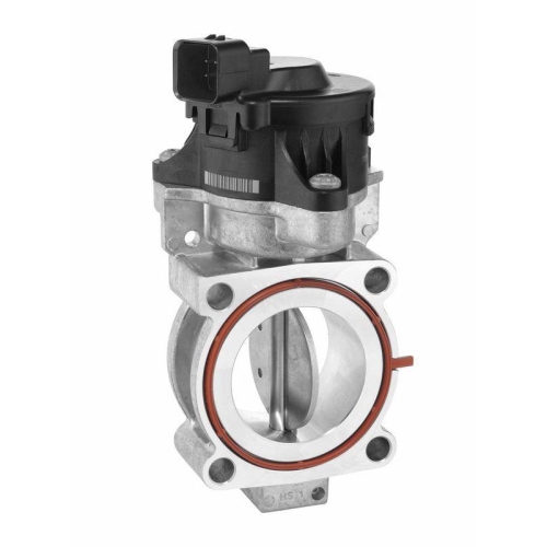BorgWarner AGR-Ventil OE-Version/Erstausr&uuml;stung 710261D