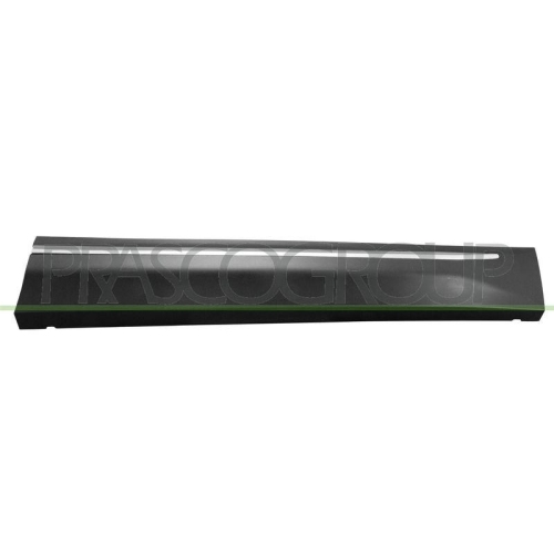 PRASCO Zier-/Schutzleiste, T&uuml;r SK8101413