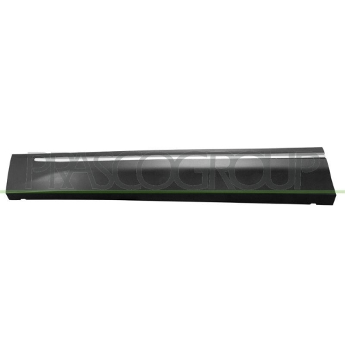PRASCO Zier-/Schutzleiste, T&uuml;r SK8101414
