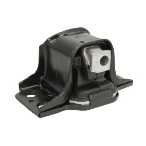 REINHOCH Lagerung, Motor RH11-2136