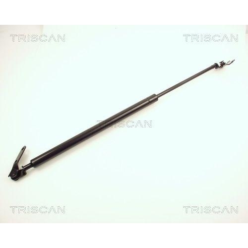 TRISCAN Gasfeder, Koffer-/Laderaum 8710 13226