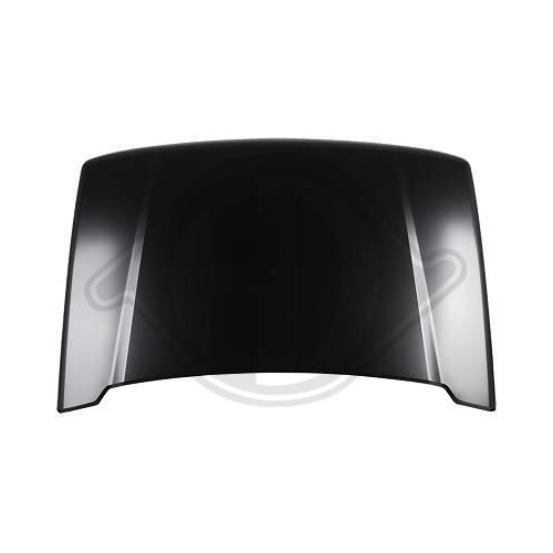 DIEDERICHS Motorhaube 6427800