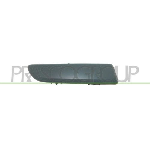 PRASCO Zier-/Schutzleiste, Sto&szlig;f&auml;nger RN3081253