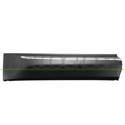 PRASCO Zier-/Schutzleiste, T&uuml;r SK8101463